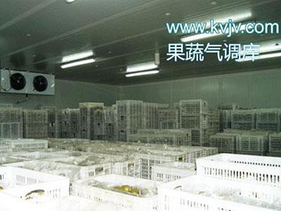 50,000m³ Cold-Chain Logistics — Wuhan